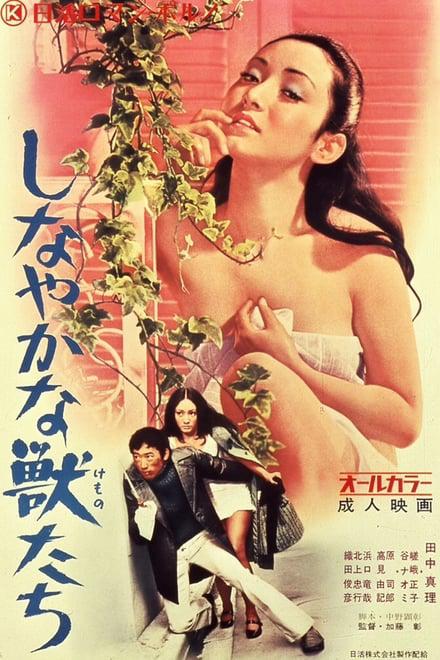 感官野兽