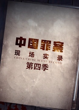 罪案现场实录 第四季(全集)