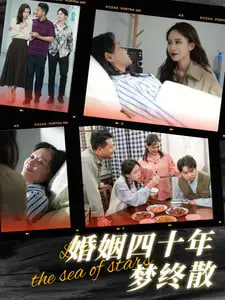 婚姻四十年梦终散(全集)