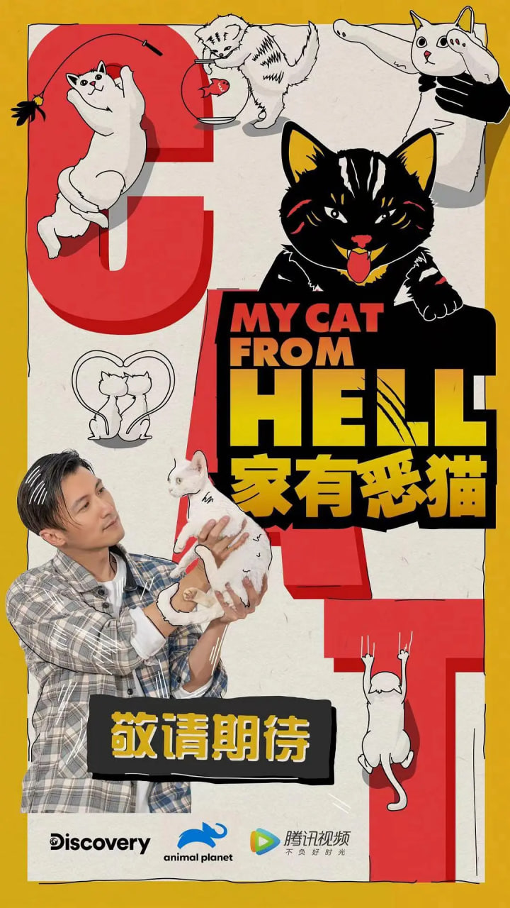家有恶猫(全集)