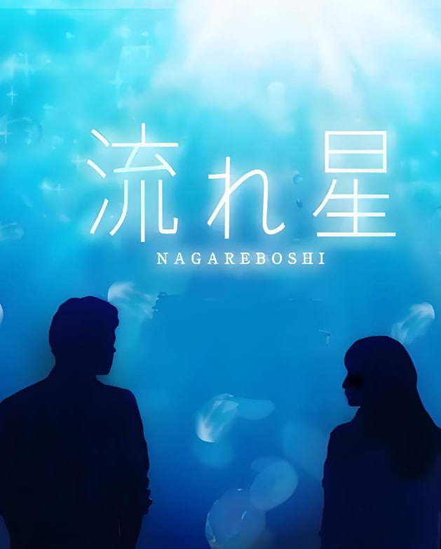 流星(全集)
