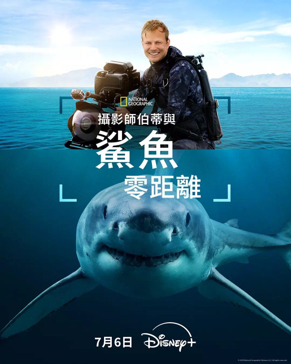 摄影师贝尔蒂与鲨鱼零距离