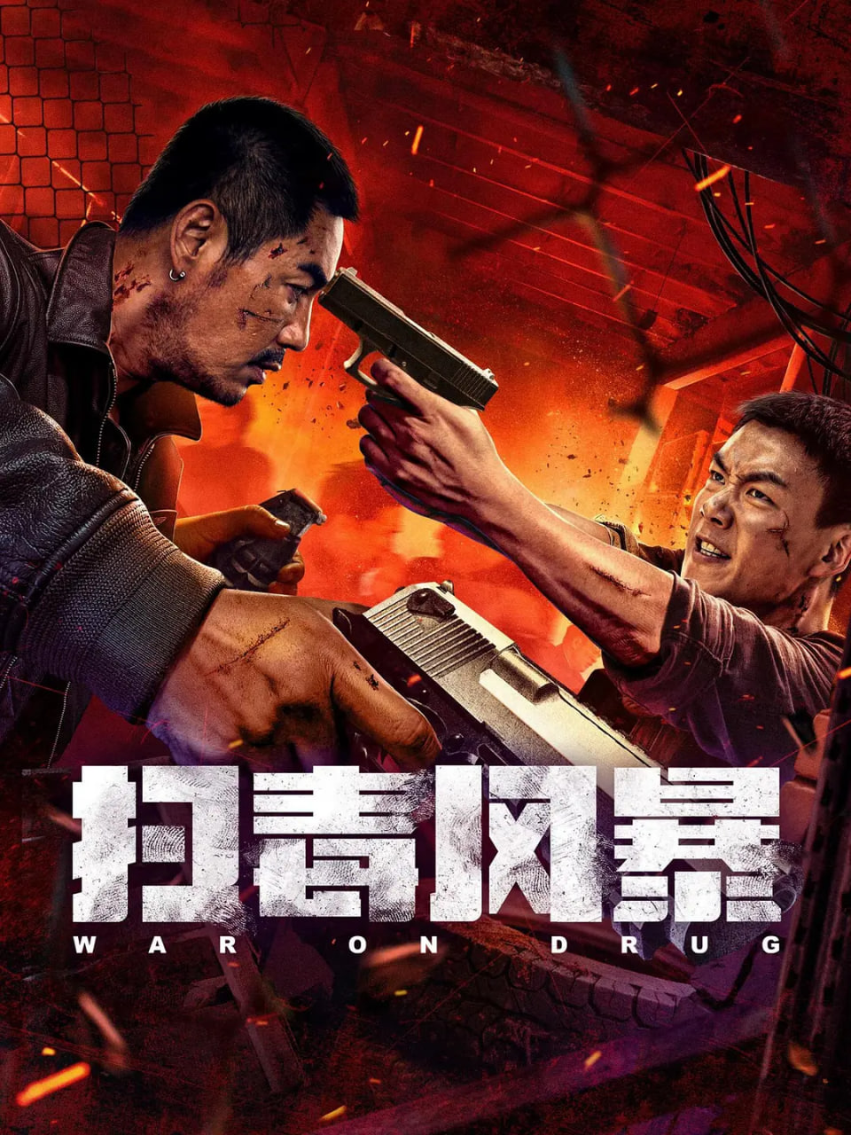 扫毒风暴