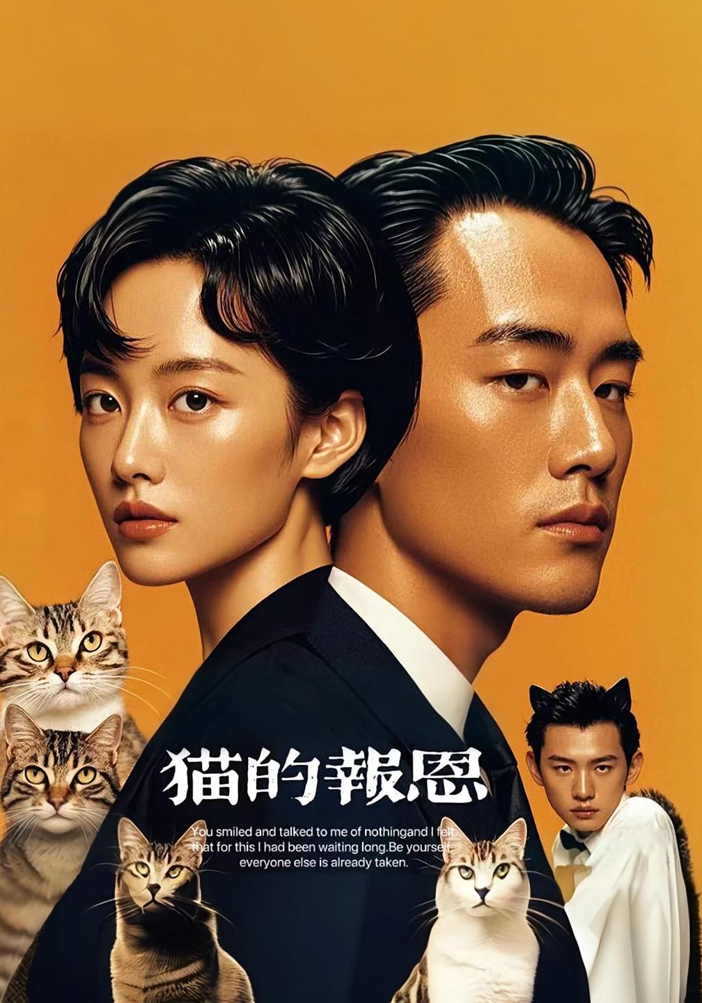 猫的报恩（短剧版）(全集)