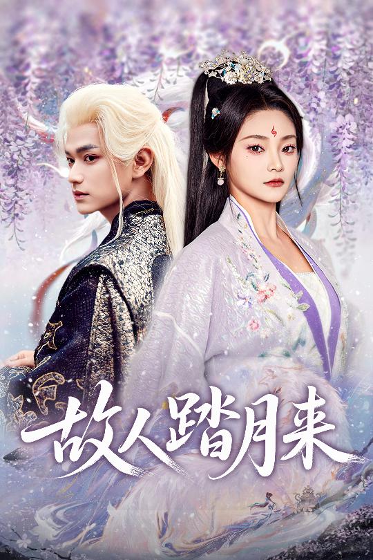 故人踏月来(全集)