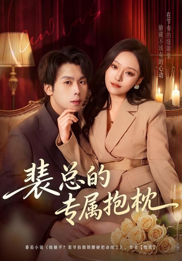 裴总的专属抱枕(全集)