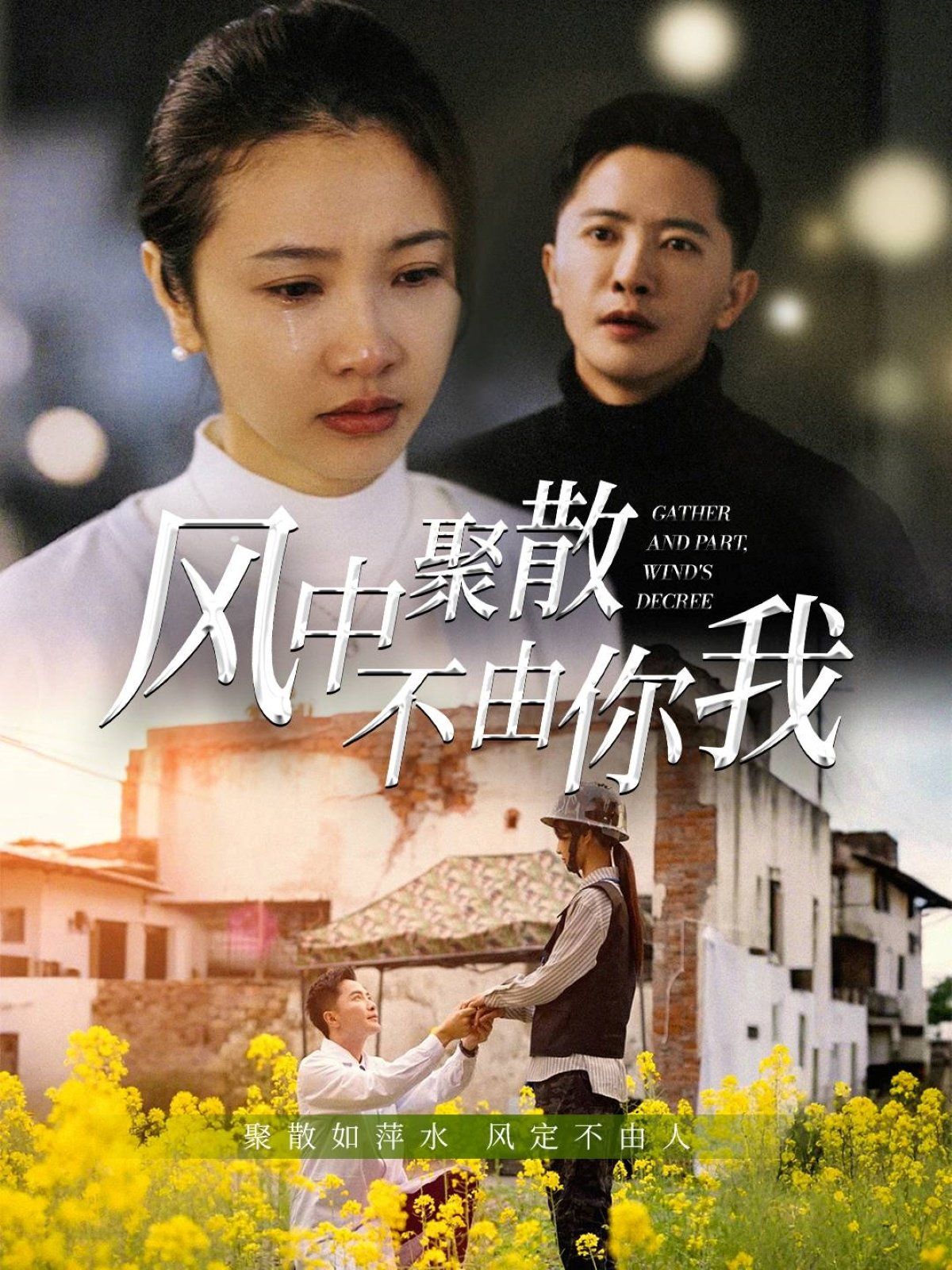 风中聚散不由你我(全集)