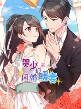 贺少的闪婚暖妻 动态漫第三季(全集)