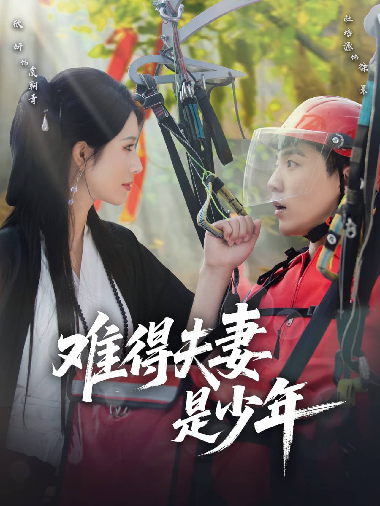 难得夫妻是少年(全集)