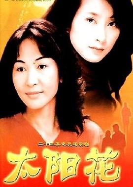 太阳花2004(全集)
